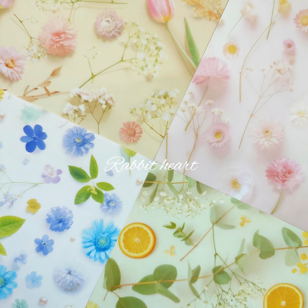🐰兔子心 日本色紙 OKINI 鬱金香 雛菊 芍藥 滿天星 薄荷 柳橙 永生花 乾燥花 清透立體感 拼貼-細節圖3