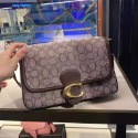 台灣美媽代購 COACH 蔻馳 包包 斜挎包 單肩包 郵差包 腋下包 酒神包 信封包 手提包 soft tabby女包-規格圖11