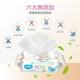 奈森克林✨純水柔濕巾有蓋30抽隨身包-細節圖6