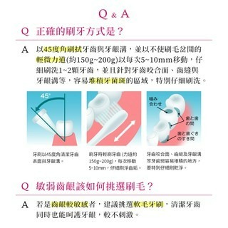 日本獅王高密細毛牙刷-超小頭-細節圖4