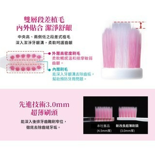日本獅王高密細毛牙刷-超小頭-細節圖5