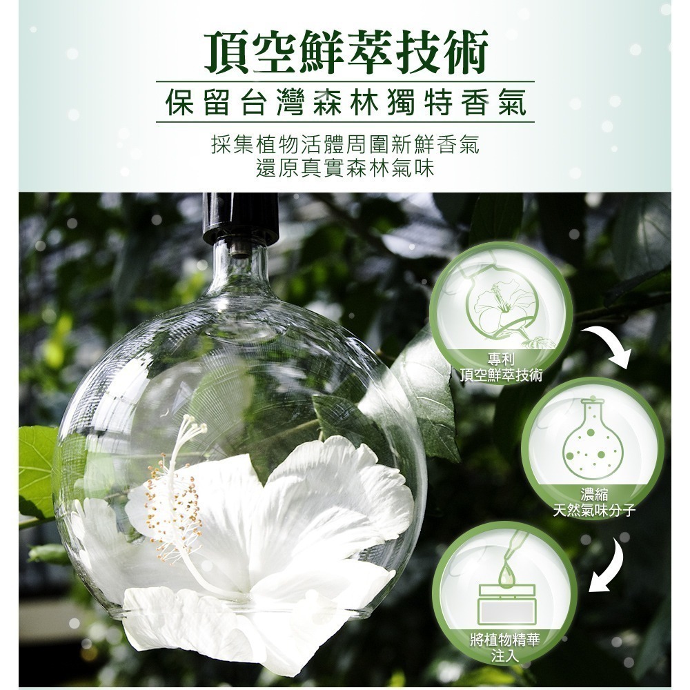 去味大師竹木香植感茶香氛擴香 80ml-細節圖3