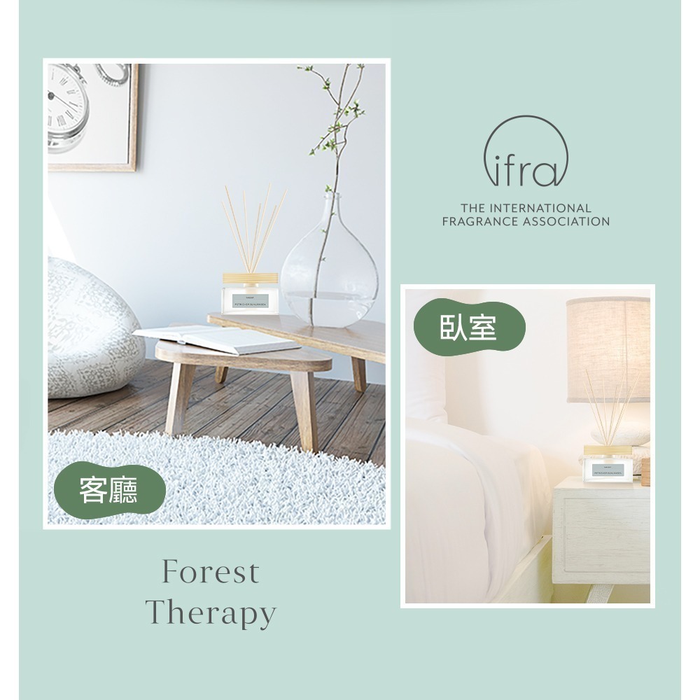 去味大師竹木香植感茶香氛擴香 80ml-細節圖7