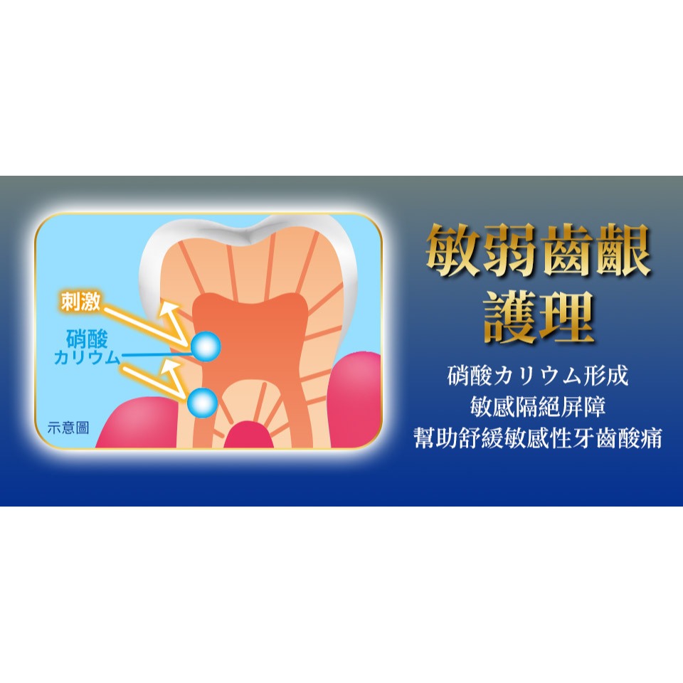 日本獅王 固齒佳Pro酵素全效牙膏 療癒柑橘 晨淨薄荷｜95g-細節圖4