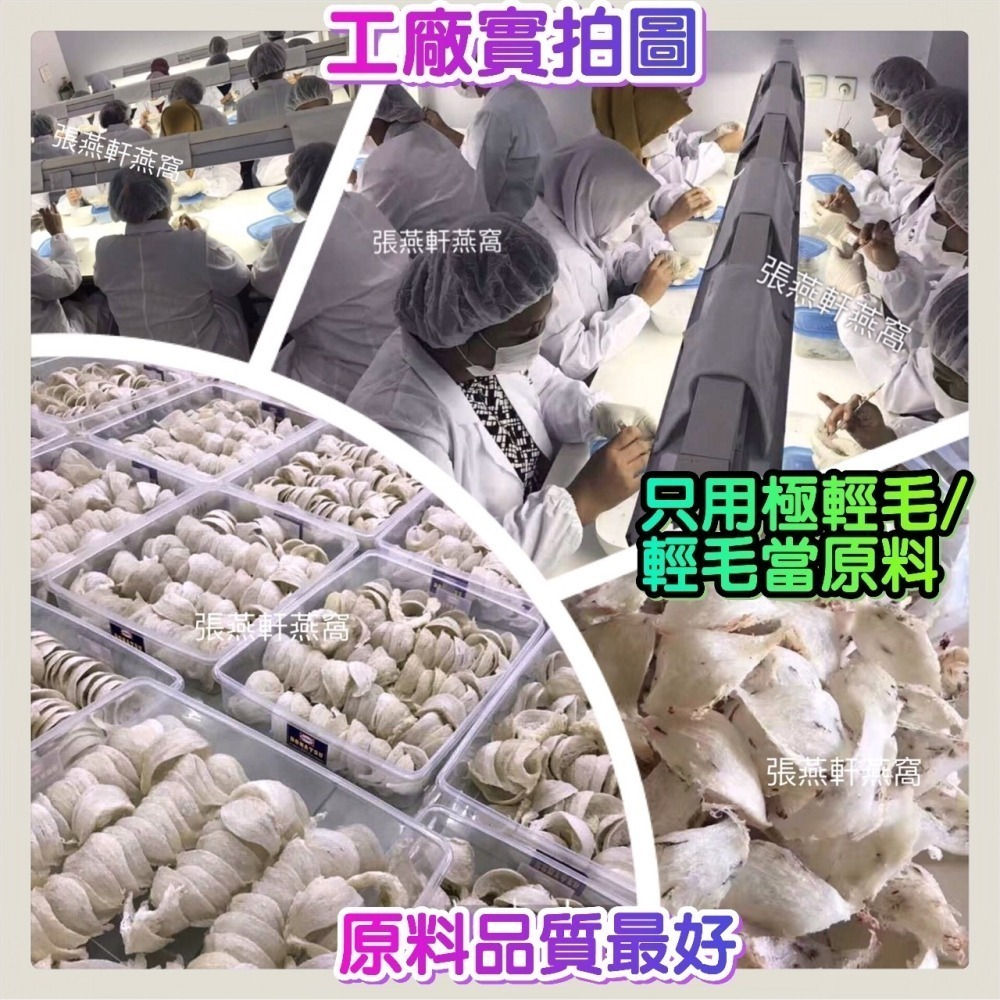 張燕軒燕窩 特選頂級半乾挑乾燕盞30克/100克 泡發比別家多 足乾很乾淨 燉煮輕鬆附說明 回購率高 燕窩燕盞-細節圖7