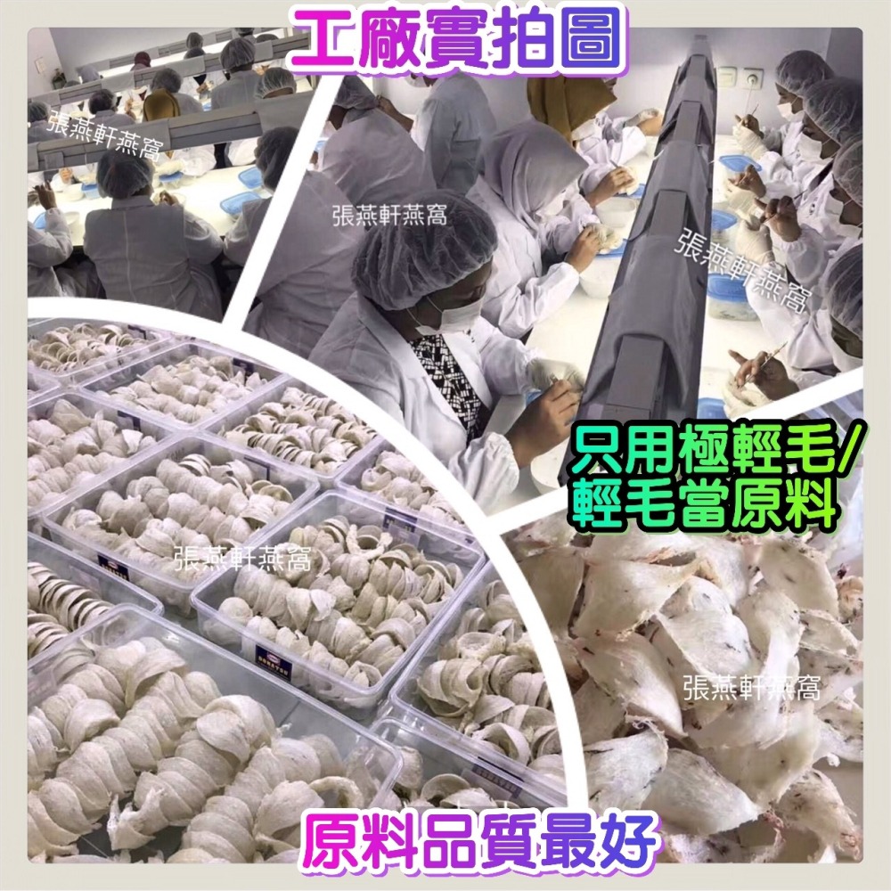 張燕軒燕窩 龍盞頂級乾挑乾燕盞30克/100克 孕婦推薦原料最好最乾淨 發頭多1-3成 最乾淨清洗烹煮最輕鬆 燕窩燕盞-細節圖7