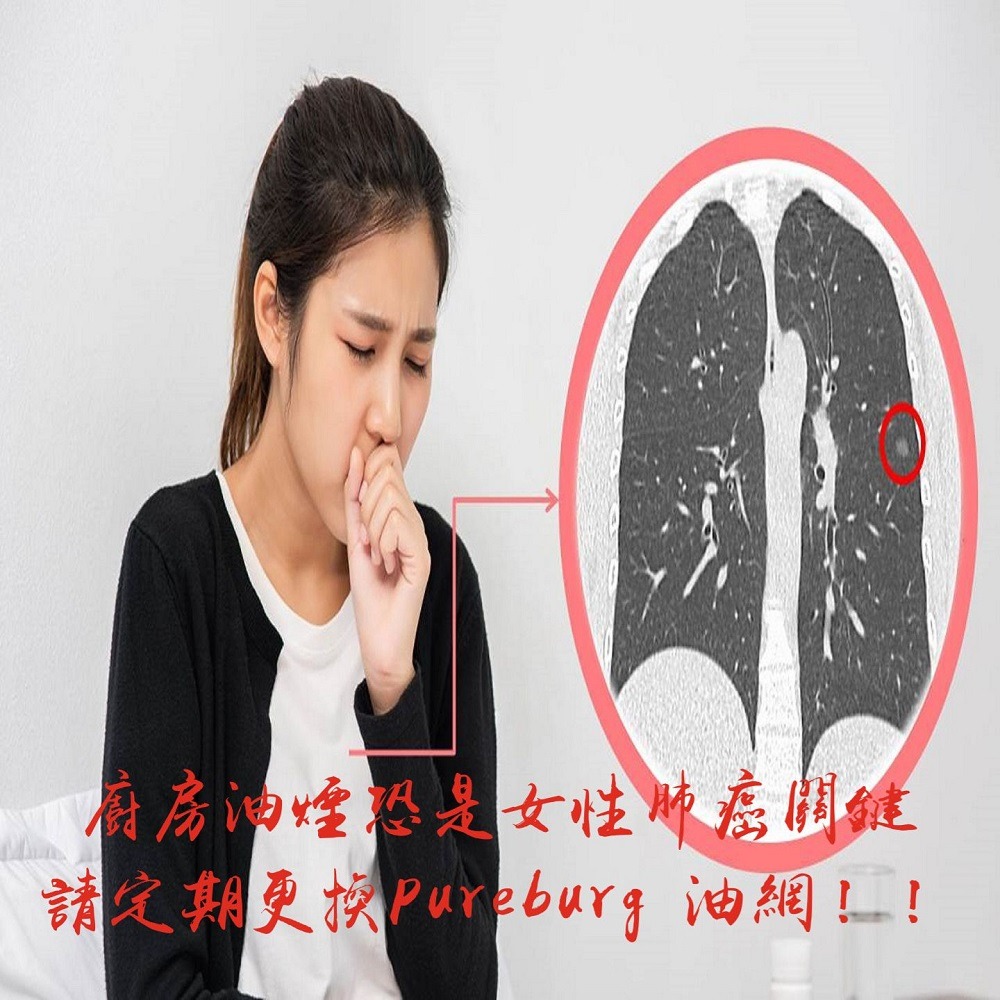 適用 林內 Rinnai RH-9029 MH-9029 RH-1229 (3入) 倒T式 排油煙機 抽油煙機 油網濾網-細節圖4