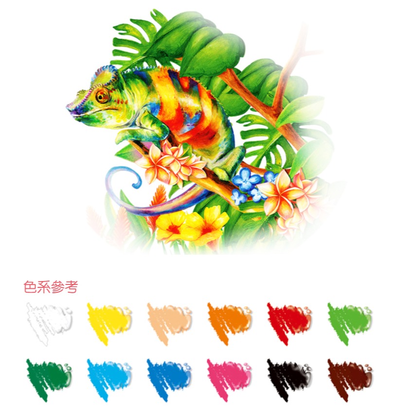 韓國AMOS 12色粗款神奇水蠟筆-細節圖2