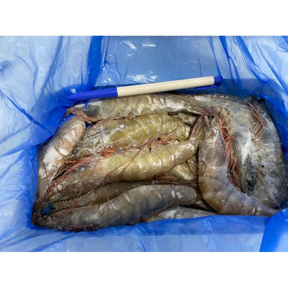 【現鮮水產】中南美急凍生鮮白蝦｜600g±10%/盒｜小資料理｜家庭料理｜鮮蝦｜蝦子｜白蝦｜快速料理｜簡單出好菜-細節圖2