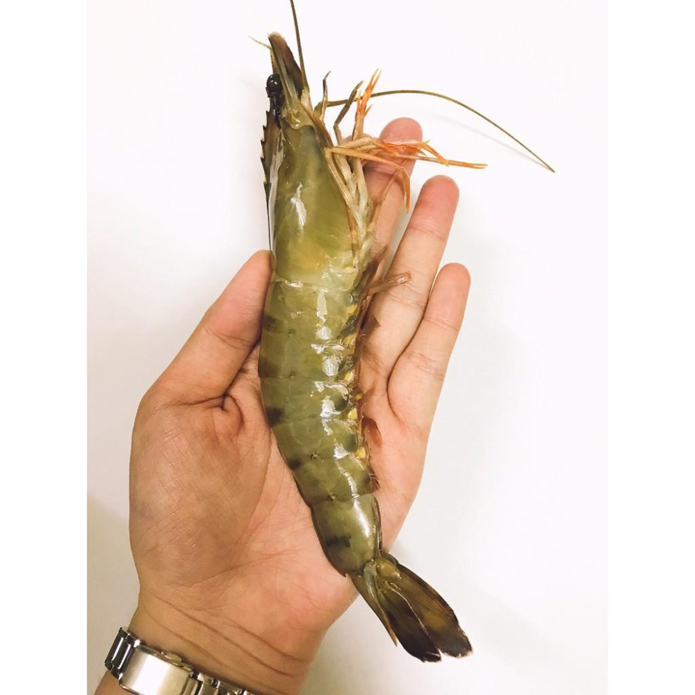 【現鮮水產】越南極鮮草蝦 （270克±10% /盒）-細節圖4