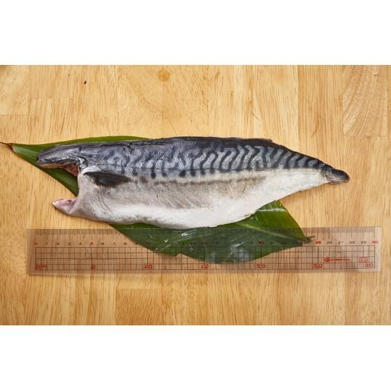 【現鮮水產】嚴選挪威超厚超大薄鹽鯖魚片  200g±10%/片-細節圖5