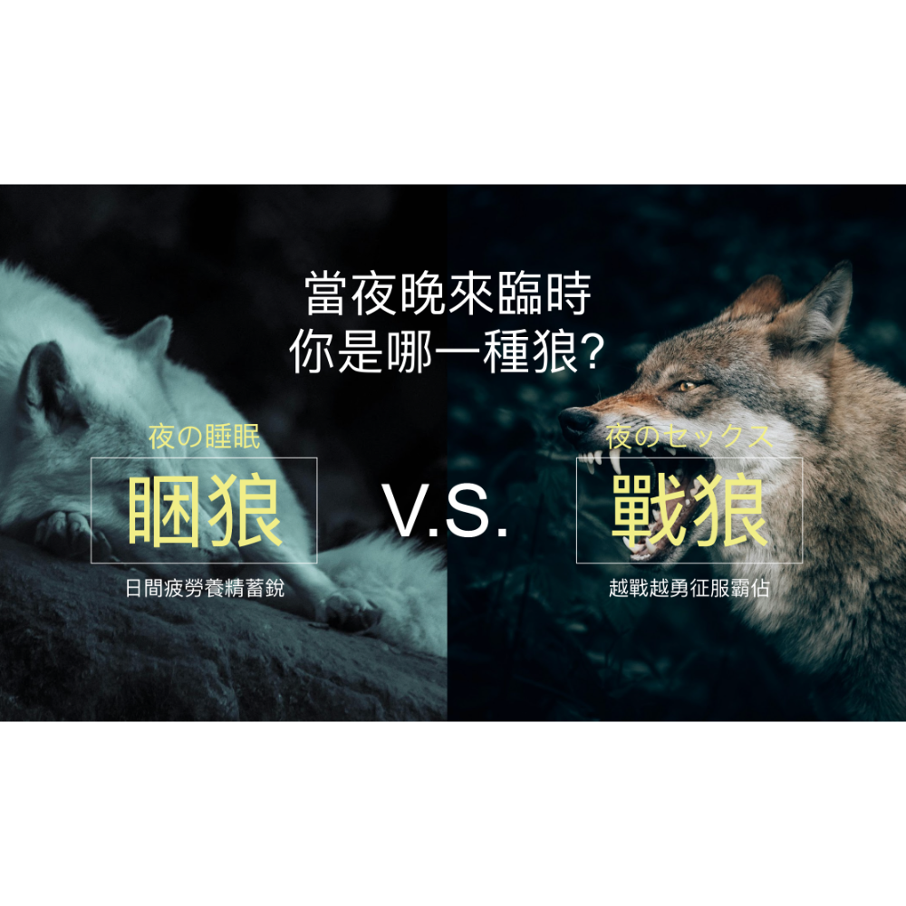 夜郎🐺來襲 台中燒打雞 韓森指定推薦 跟韓森一次打10個 ❤️❤️很猛-細節圖3