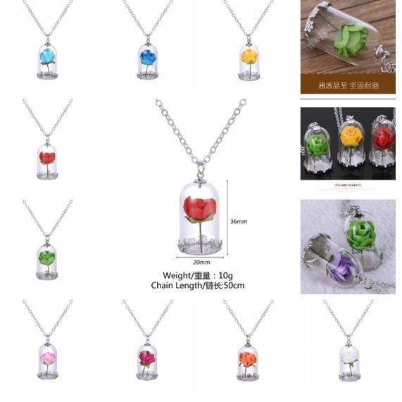 台灣現貨 手工時尚項鍊 玻璃瓶乾花項鍊 野獸玫瑰花項鍊 美女與野獸永生花 小王子的玫瑰花-細節圖7