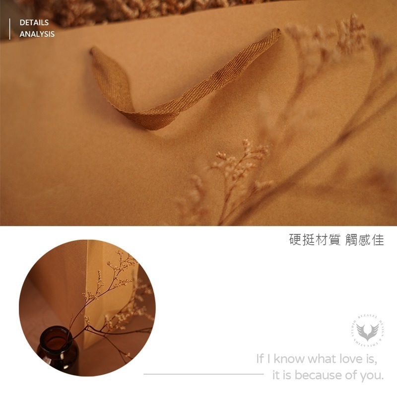 牛皮紙袋 禮品袋 手提袋 包裝袋 禮物袋 袋子 婚禮紙袋 手提 紙袋【SN0214】-細節圖5