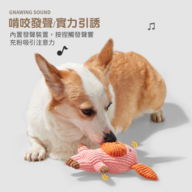 玉米絨發聲玩具 寵物玩具 寵物球 狗狗啃咬玩具 狗狗發聲玩具 寵物發聲玩具 寵物用 【CW0045】-細節圖5