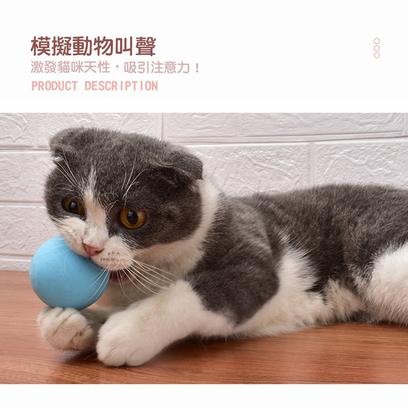 引力叫叫球 逗貓球 發聲 寵物玩具 逗貓玩具 貓咪玩具 貓玩具球 玩具球 電動貓玩具【CW0055】-細節圖6