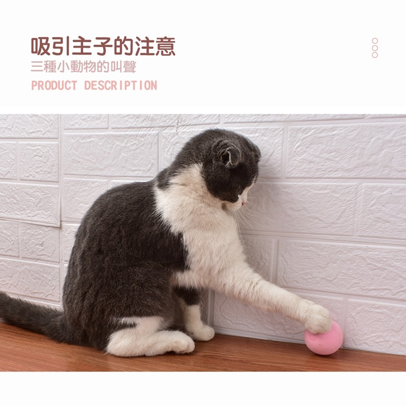 引力叫叫球 逗貓球 發聲 寵物玩具 逗貓玩具 貓咪玩具 貓玩具球 玩具球 電動貓玩具【CW0055】-細節圖8