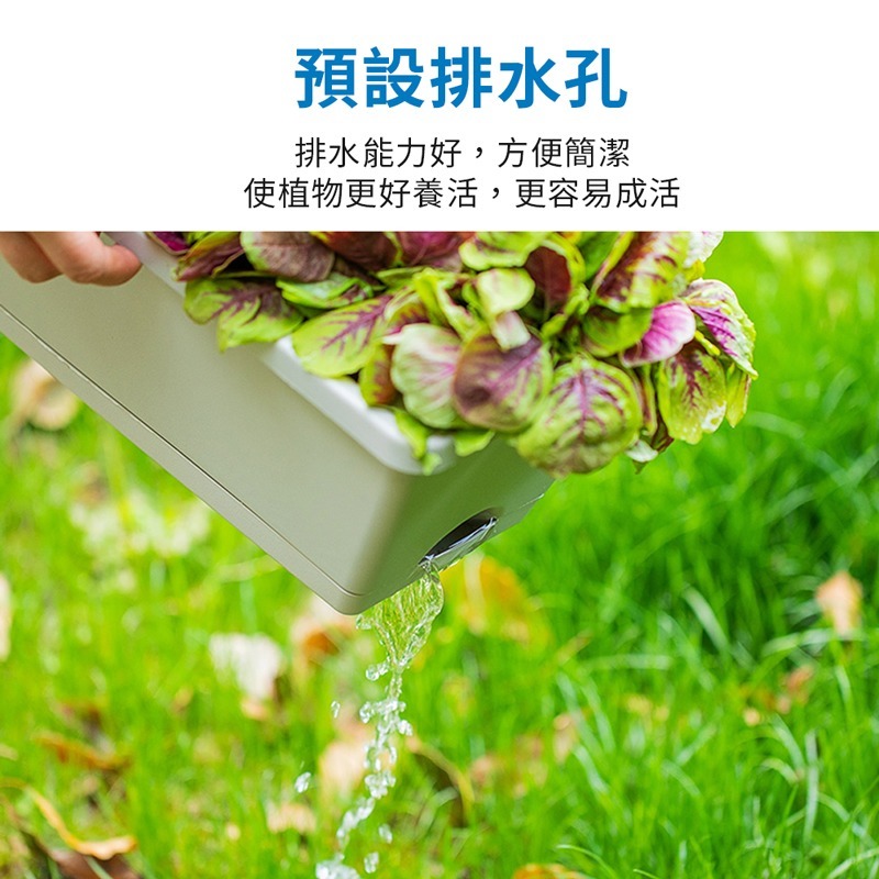 長型花盆 種菜盆 長花盆 長方形花盆 控根盆 花槽 花盆 種菜花盆【HW0063】-細節圖4