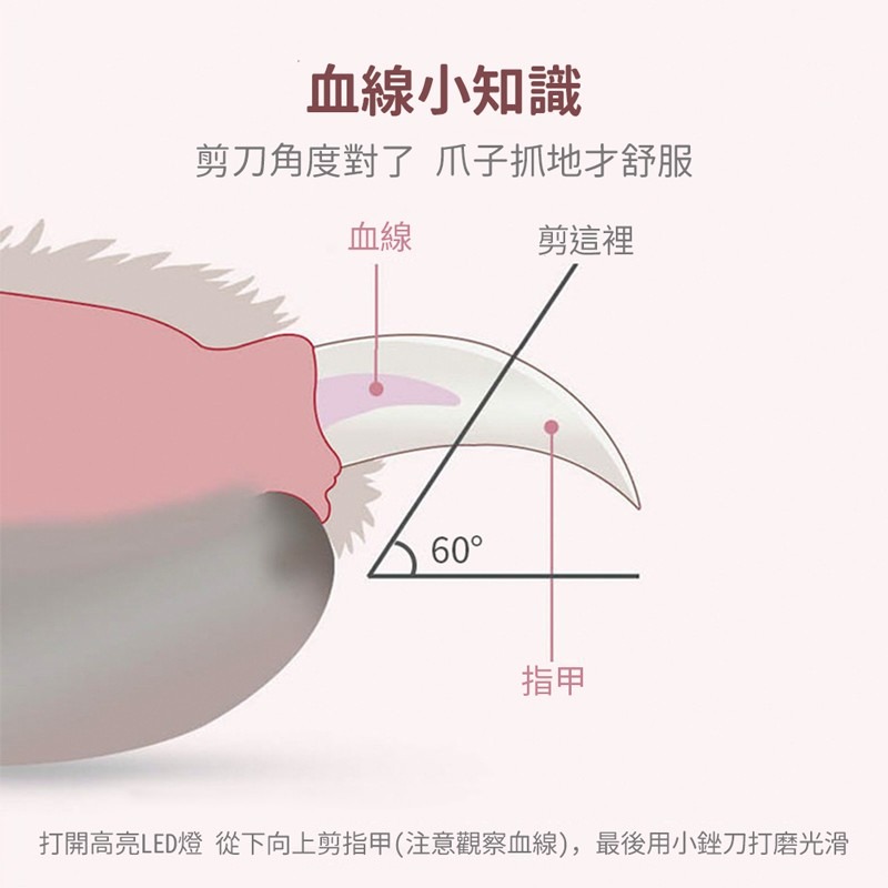 LED寵物指甲剪 LED 指甲剪 貓咪指甲剪 寵物指甲剪 狗狗指甲剪 寵物美容【CW0051】-細節圖8