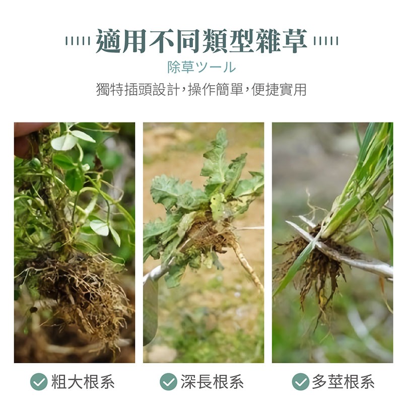 拔草器 省力除草神器 除草器 不鏽鋼拔草器 拔草器 除草工具 省力拔草 拔草神器 園藝工具【HW0065】-細節圖3