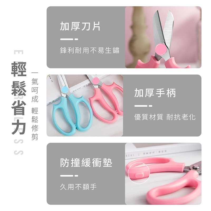 不銹鋼園藝剪刀 花枝剪 園藝剪刀 花枝剪刀 鮮花修剪 園藝工具 插花工具 剪刀【JJ0657】-細節圖4