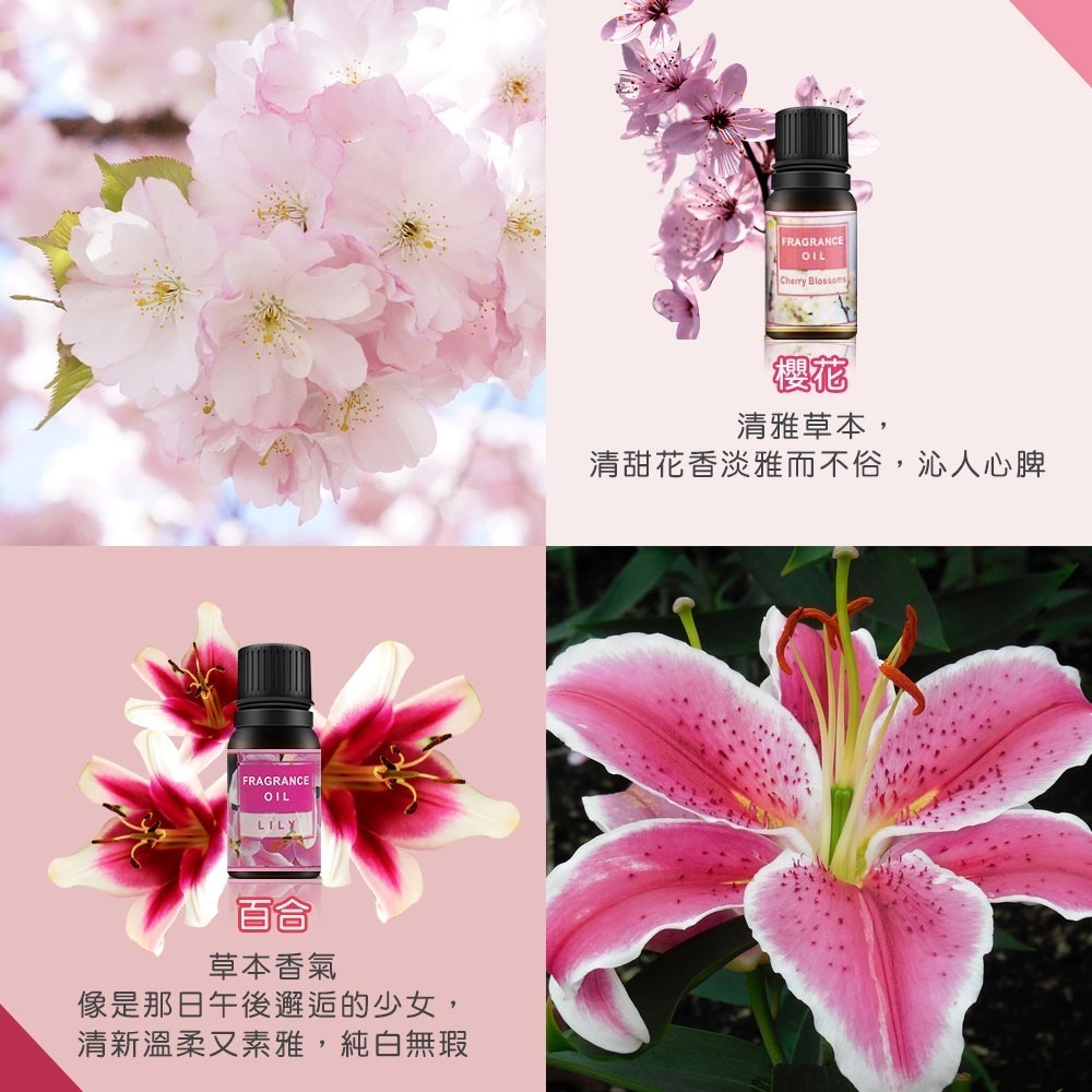 精油 香氛精油 水溶性精油 香薰機 薰香精油 水氧機精油 擴香石精油 芳香精油【WS0005】-細節圖10