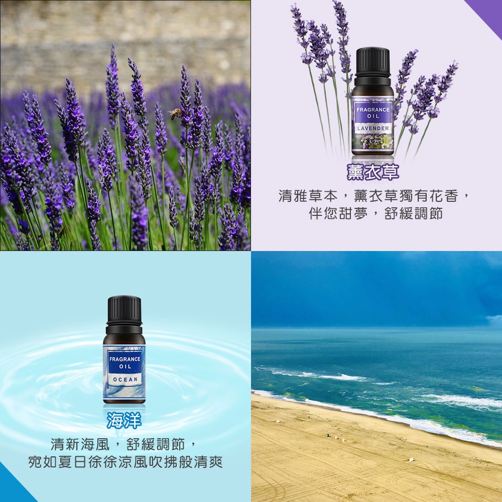 精油 香氛精油 水溶性精油 香薰機 薰香精油 水氧機精油 擴香石精油 芳香精油【WS0005】-細節圖5