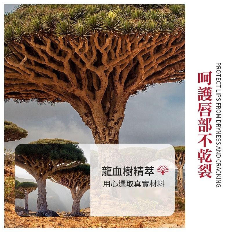龍血樹泡泡唇膜 泡泡唇膜 自發起泡去角質唇膜 唇部護理 淡化唇紋 保濕 潤唇 唇部清潔 唇部保養 唇膜【MZ0379】-細節圖5