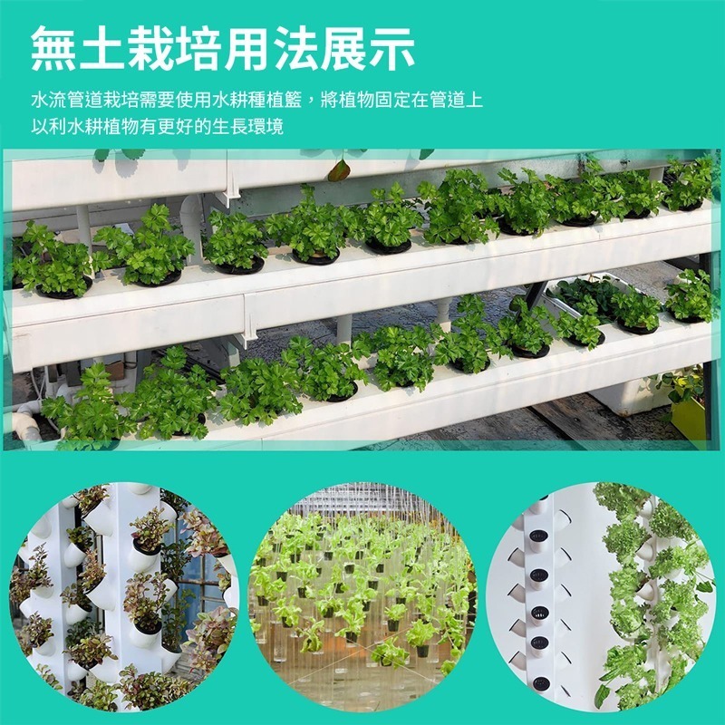 水草栽培盆 水草盆 透氣盆 懶人花盆 水草栽培 多肉盆 水耕盆 育苗盆 鹿角蕨盆 蘭花盆 食蟲植物盆【HW0078】-細節圖3