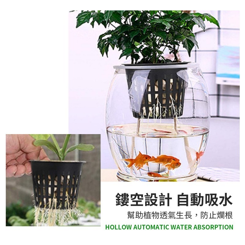 水草栽培盆 水草盆 透氣盆 懶人花盆 水草栽培 多肉盆 水耕盆 育苗盆 鹿角蕨盆 蘭花盆 食蟲植物盆【HW0078】-細節圖5
