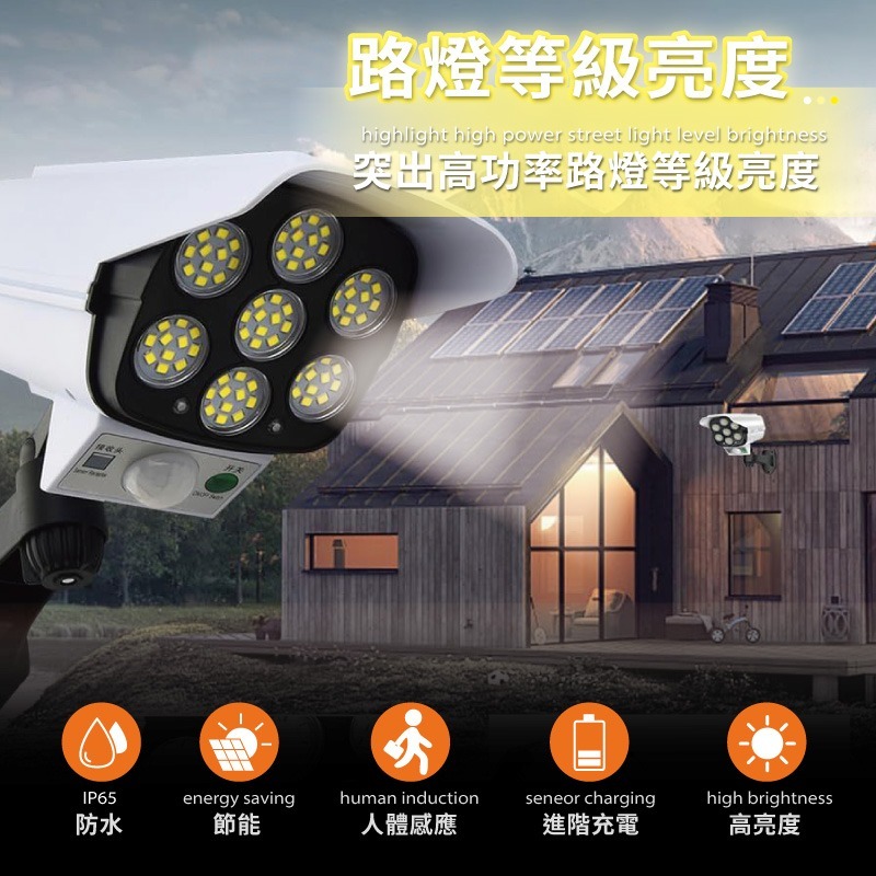 戶外感應燈 太陽能壁燈 人體感應 仿真監控燈  感應燈 太陽能感應燈 戶外燈 燈 監控燈【DZ0186】-細節圖7