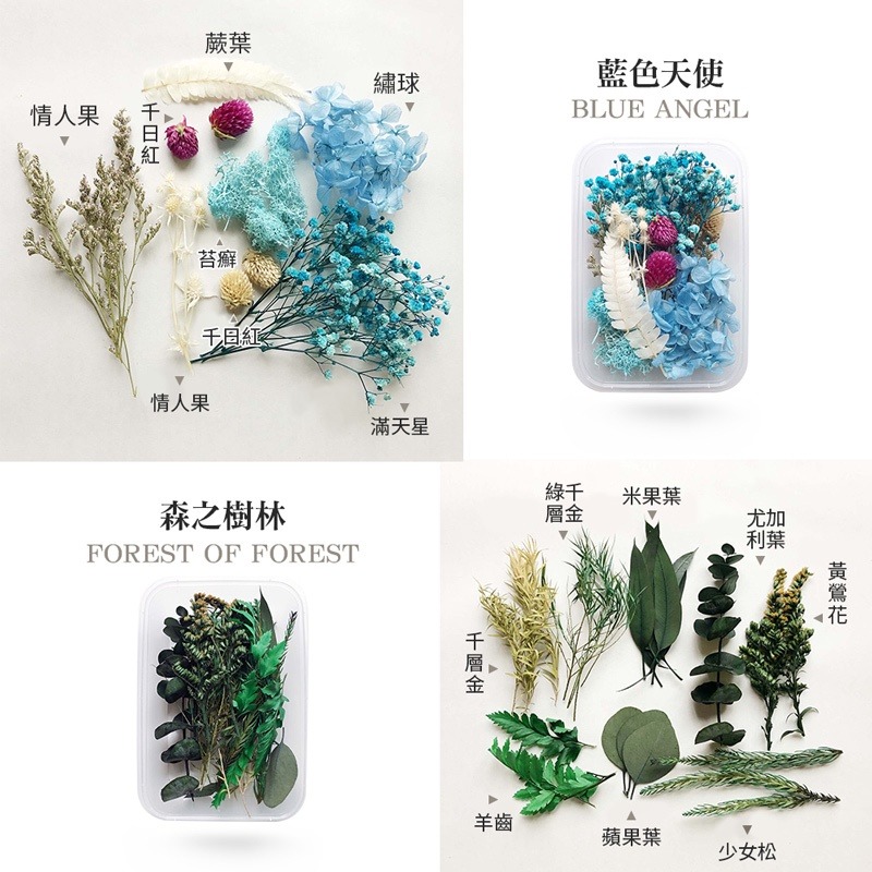 乾燥花 花藝材料包 拍照道具 花材 乾花 裝飾用 居家裝飾 卡片裝飾 DIY【JJ0419】-細節圖5