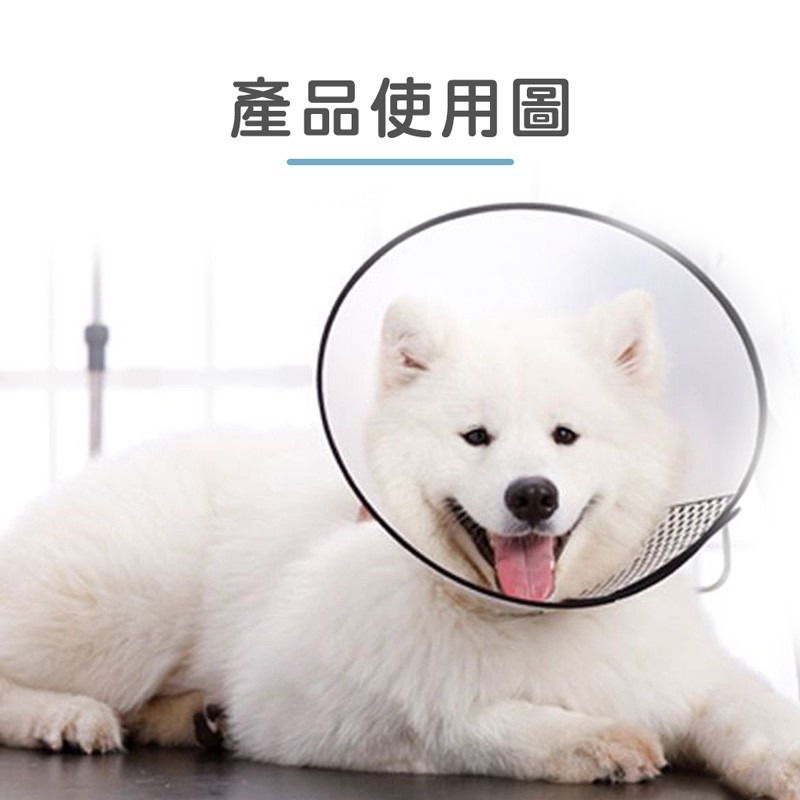 伊莉莎白頭套 寵物頭套 術後防舔咬 寵物保護罩 貓狗美容防咬項圈 羞恥圈 寵物脖圍 防咬圈 【CW0028】-細節圖3