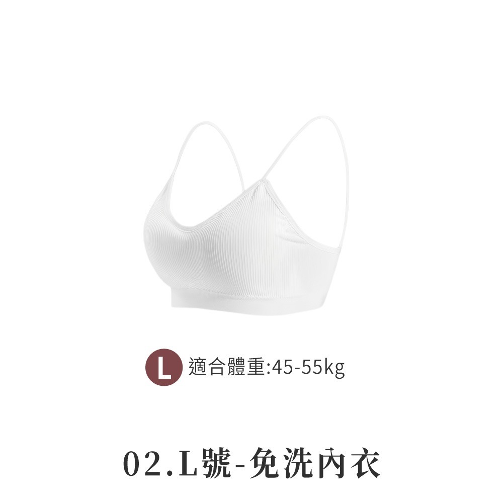 02.L號