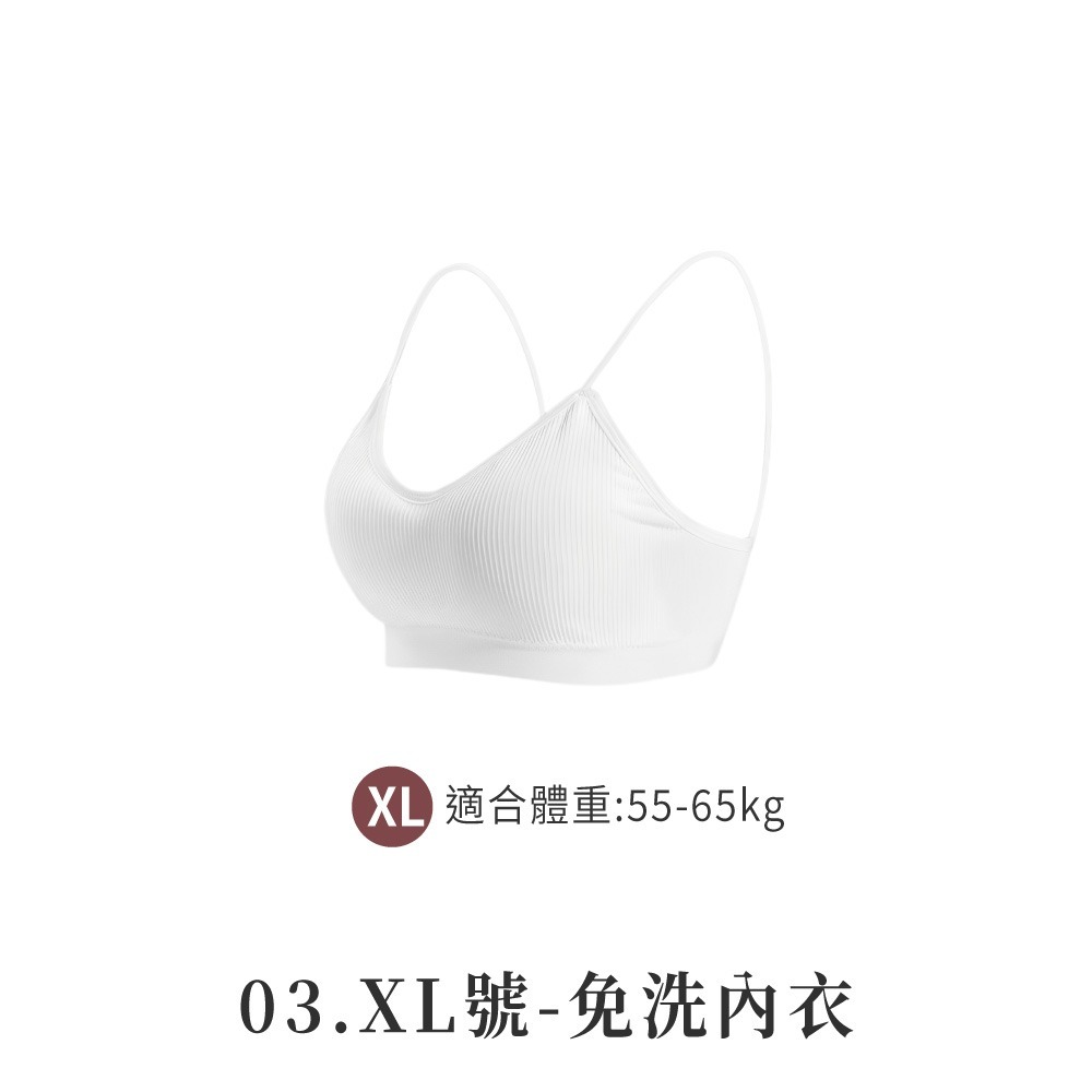 03.XL號
