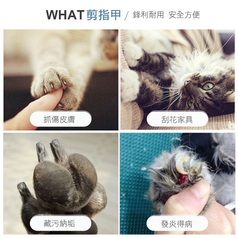 寵物指甲剪 寵物剪刀 指甲剪 指甲刀 寵物安全剪 寵物磨甲 貓指甲 狗指甲 寵物美容 寵物【CW0003】-細節圖3