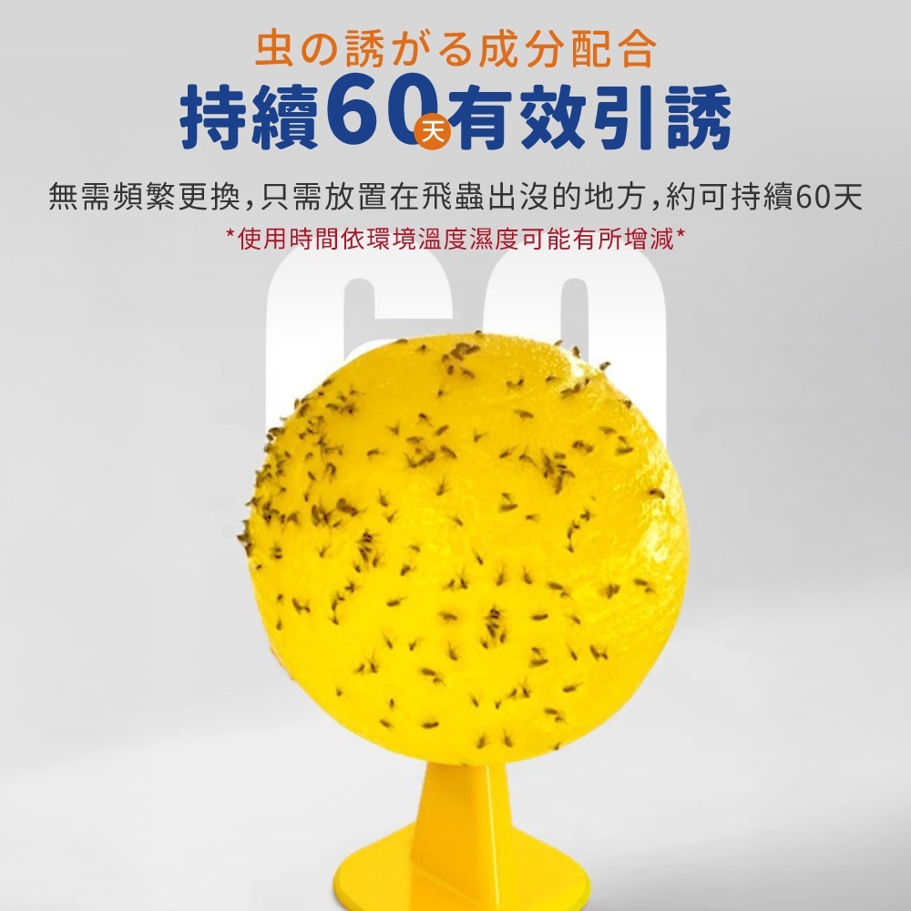 誘蠅球 黏蒼蠅球 超黏捕蠅球 捕蠅球 捕蠅板 捕蠅器 黏蟲板 黏蠅板 蒼蠅貼 黏果蠅 蒼蠅球 物理捕蠅【JJ0972】-細節圖4