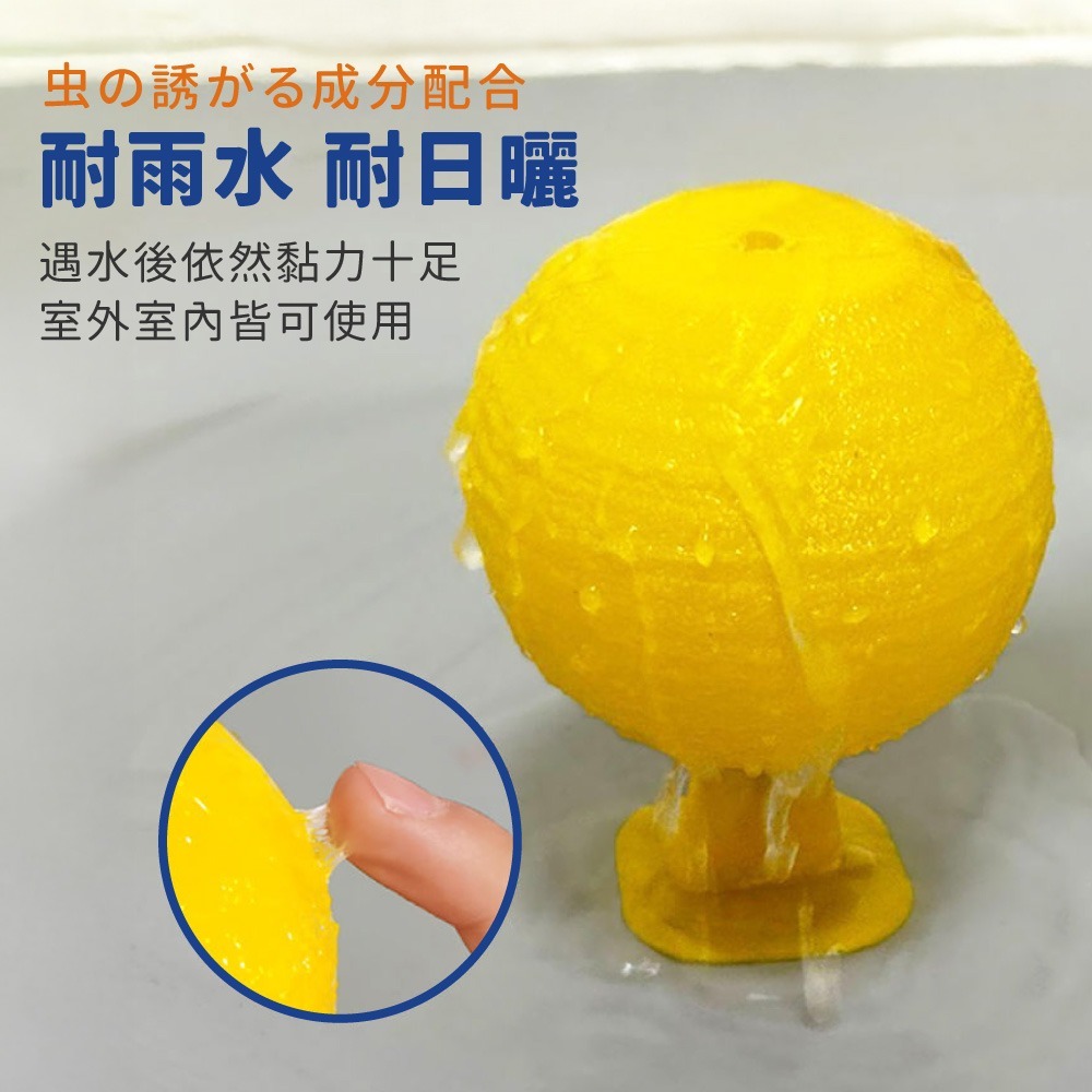 誘蠅球 黏蒼蠅球 超黏捕蠅球 捕蠅球 捕蠅板 捕蠅器 黏蟲板 黏蠅板 蒼蠅貼 黏果蠅 蒼蠅球 物理捕蠅【JJ0972】-細節圖5