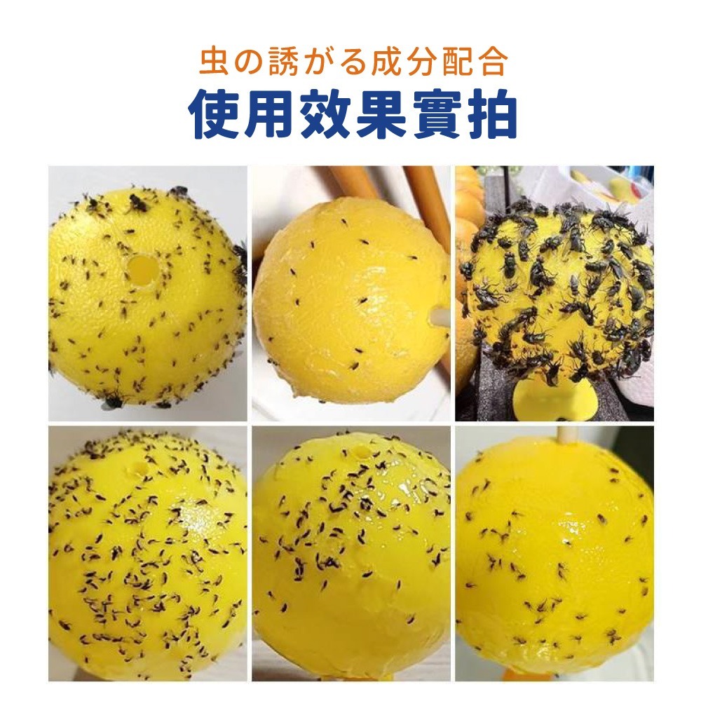 誘蠅球 黏蒼蠅球 超黏捕蠅球 捕蠅球 捕蠅板 捕蠅器 黏蟲板 黏蠅板 蒼蠅貼 黏果蠅 蒼蠅球 物理捕蠅【JJ0972】-細節圖7