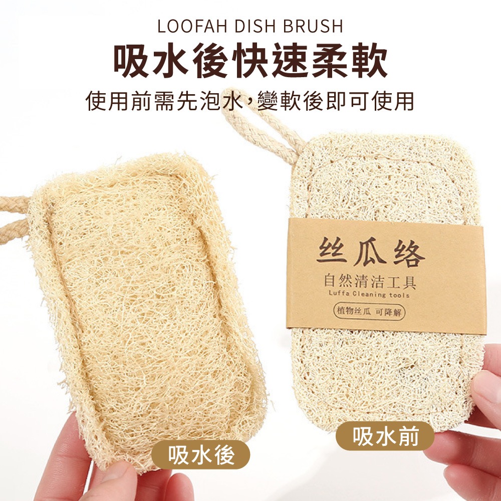 洗碗刷 菜瓜布 絲瓜布 絲瓜棉 環保清潔刷 絲瓜棉 絲瓜 天然菜瓜布 鍋抹佈 絲瓜海綿 絲瓜筋 鍋具洗刷【CC0663】-細節圖3