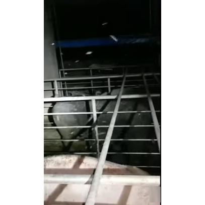 寶島之光 LED 12W 驅蚊燈泡 E27 全電壓 防蚊燈 防止登革熱 騎樓燈泡 露營用燈 家用 蟲害 蚊蟲驅趕-細節圖3