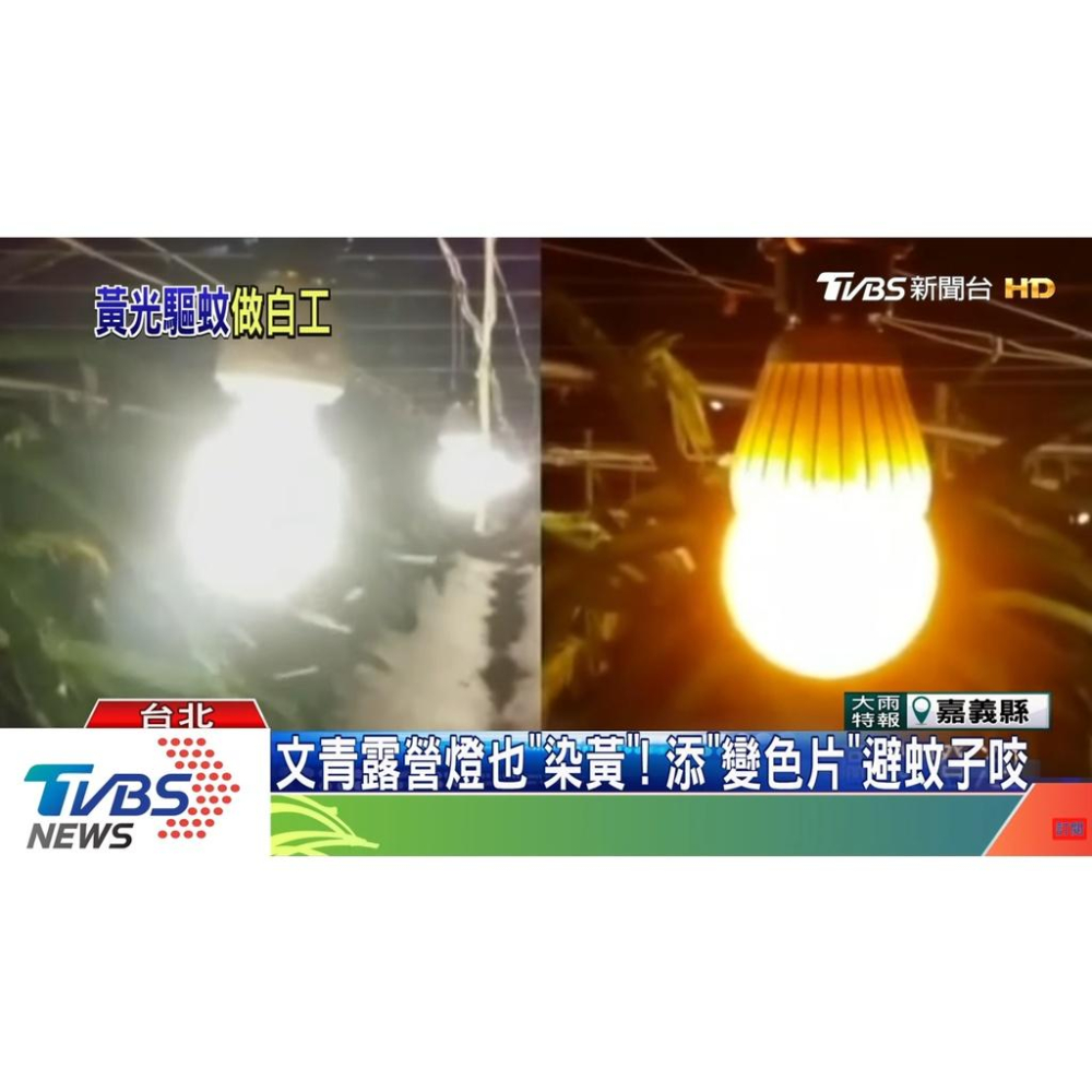 寶島之光 LED 12W 驅蚊燈泡 E27 全電壓 防蚊燈 防止登革熱 騎樓燈泡 露營用燈 家用 蟲害 蚊蟲驅趕-細節圖5