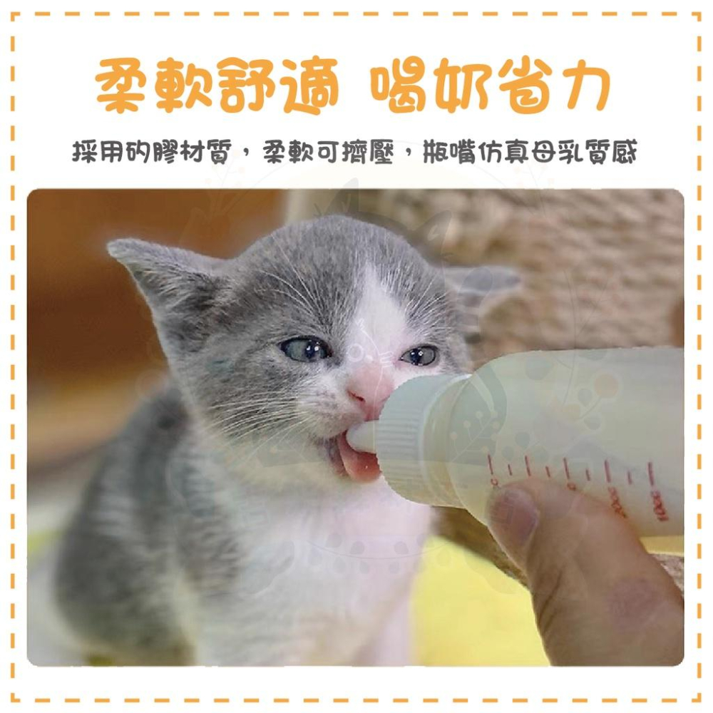 🇹🇼現貨·全年無休🍄吉米寶🍄寵物奶瓶四件套 60ml JM055-2狗奶瓶 奶貓 奶狗 貓奶瓶 幼貓 小寵-細節圖2