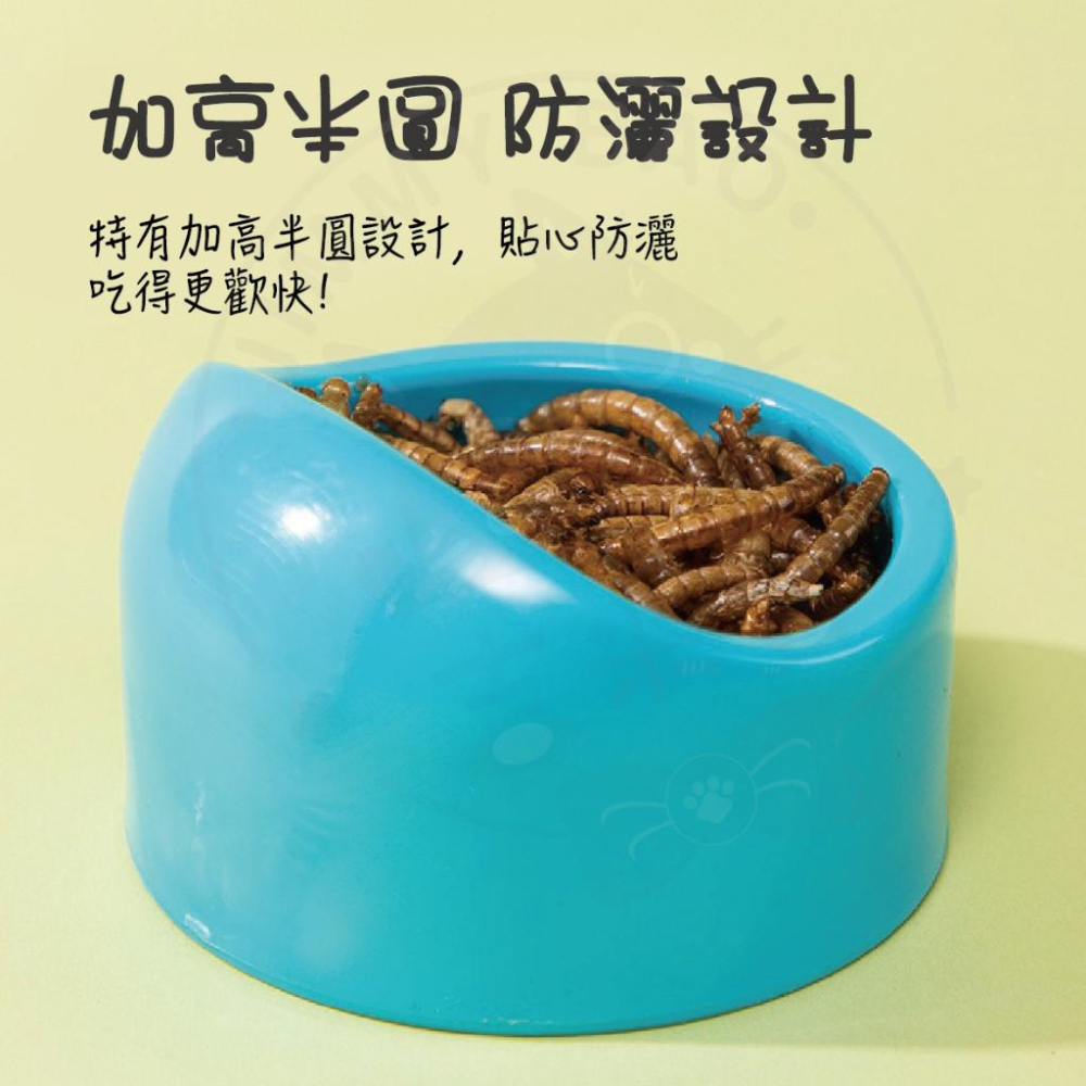 🇹🇼現貨·全年無休🍄吉米寶🍄加厚小寵食盆 JM071-2 餵食碗 食盆 蜜袋鼯/兔子/刺蝟/松鼠/熊鼠-細節圖6