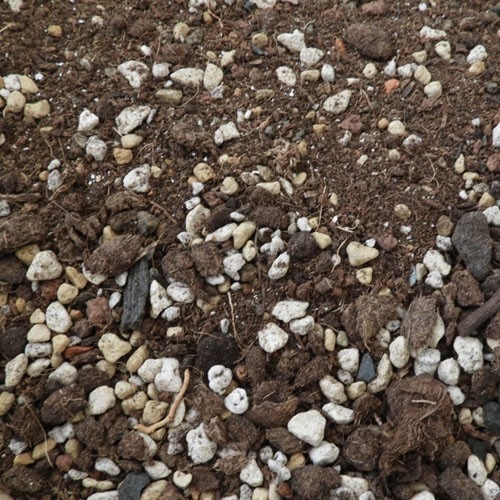 【植日生】觀葉植物用土 / 多肉用土 / 加蛋殼粉 / 疏水介質 / 1.5公斤
