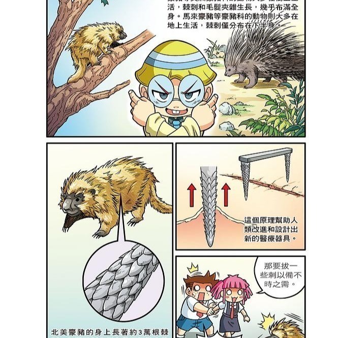 X萬獸探險隊 III  最新全套12冊 12:星鼻怪手11:戰螯大盜 7: 鐵蹄狂戰士6: 吞食至尊  (附學習單)-細節圖7