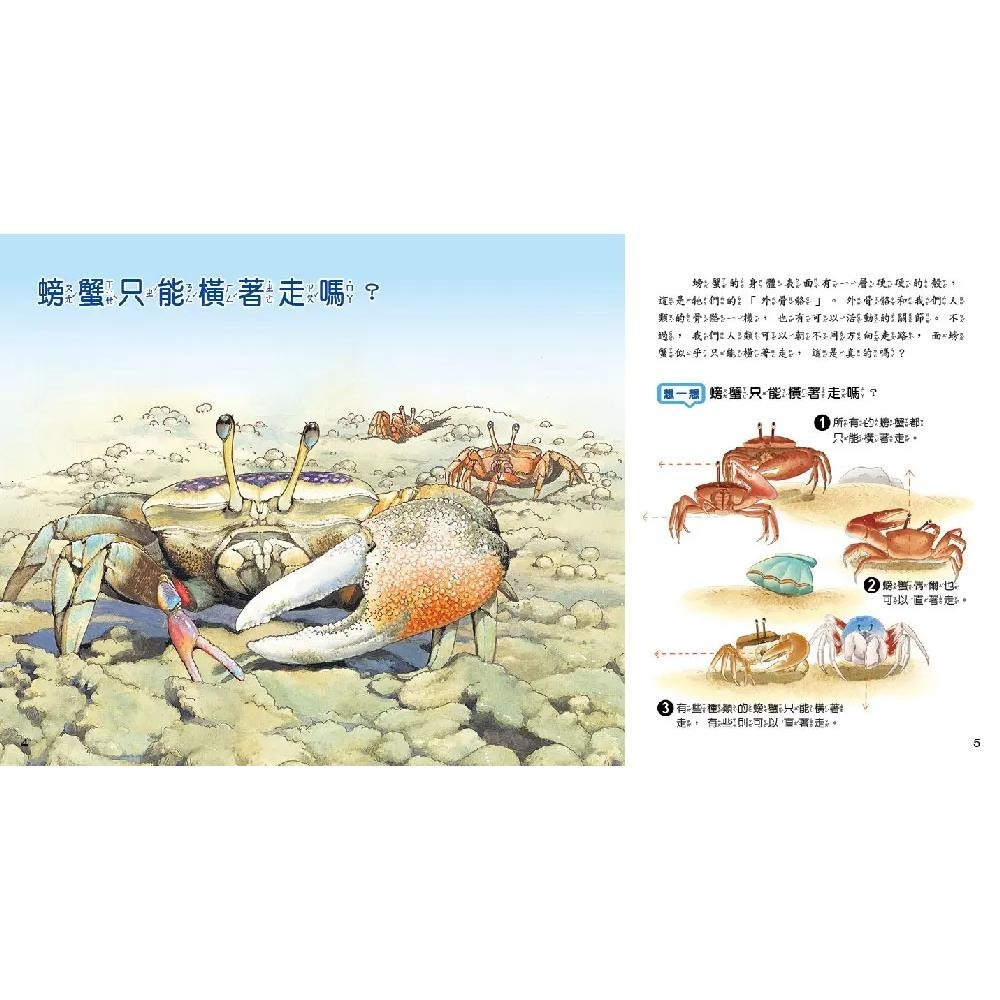 【小牛頓】WOW原來是這樣 1-10冊 適合5-8歲 大字注音★得獎快報★ 獲選文化部「第44次中小學生讀物選介」~-細節圖6