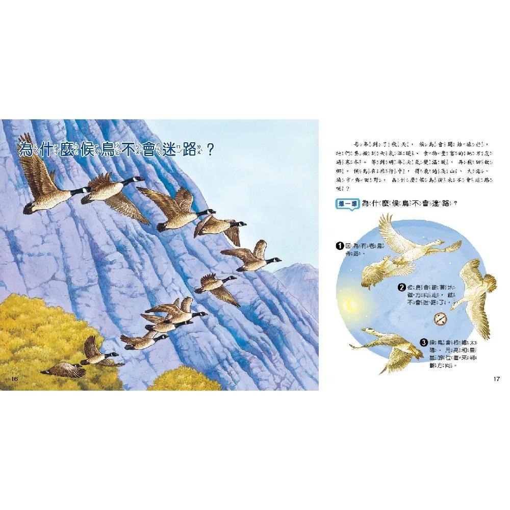 【小牛頓】WOW原來是這樣 1-10冊 適合5-8歲 大字注音★得獎快報★ 獲選文化部「第44次中小學生讀物選介」~-細節圖7