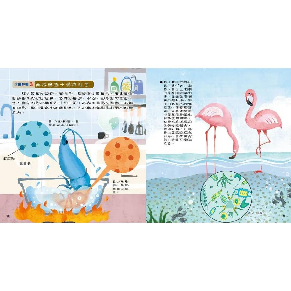 【小牛頓】WOW原來是這樣 1-10冊 適合5-8歲 大字注音★得獎快報★ 獲選文化部「第44次中小學生讀物選介」~-細節圖9