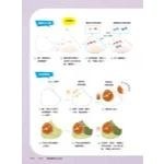 就是愛畫貓/色鉛筆手繪Q萌小動物/色鉛筆手繪好時光/手繪Q萌小插圖/一學就會Q萌簡筆畫/簡單線條畫出貓咪魅力， 從素描到捏塑玩出無限創意～  畫頭•畫身體•畫萌萌眼•畫貓爪爪… 畫貓咪的日常與喜怒哀樂～-細節圖9